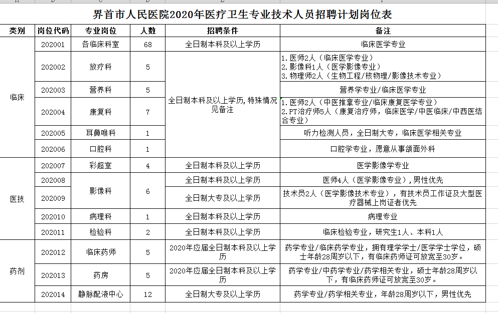 2020年阜陽界首市人民醫(yī)院醫(yī)療衛(wèi)生專業(yè)技術人員招聘計劃崗位表